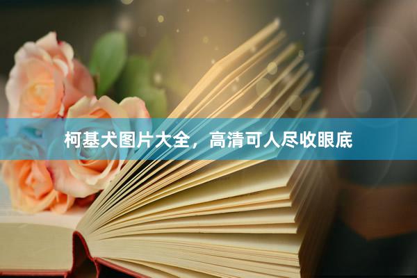 柯基犬图片大全，高清可人尽收眼底